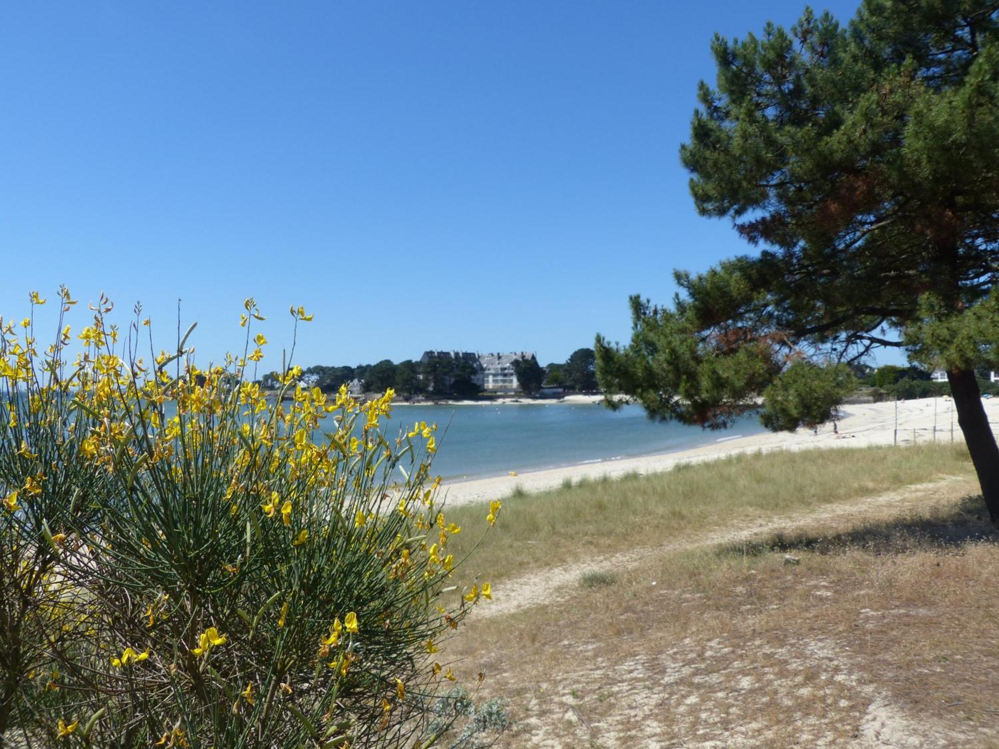 Mouettes 3 - Balcon, Vue Mer, Men Du - T356 卡纳克 外观 照片